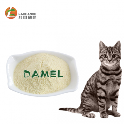 Damel--The cat supplement to remove pet jaundice